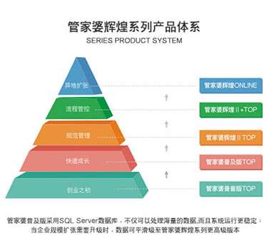 澳门管家婆精选解析落实策略，探索与实践之路