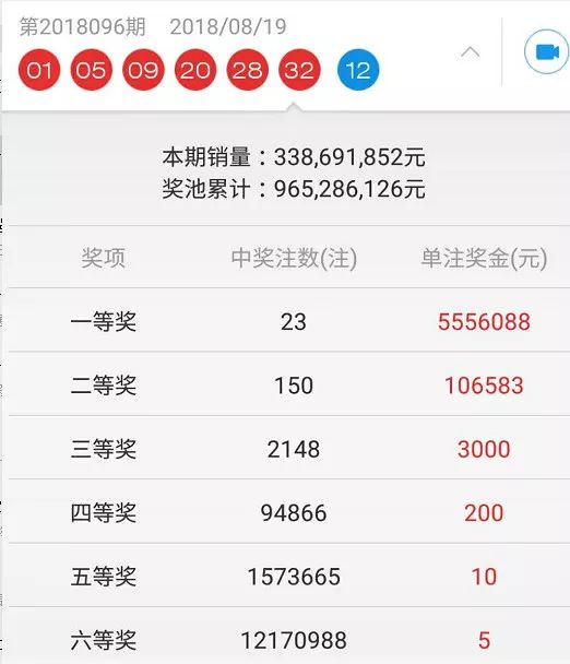 揭秘王中王开奖十记录网一，精选解析与落实策略