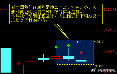 一肖一码一特一中，深度解析与精选策略落实