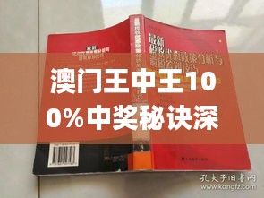 澳门王中王最新章节与解析，探索答案的精髓