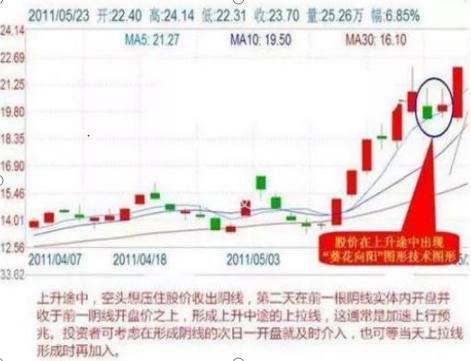 新澳门免费精准大全，精选解释解析与落实策略