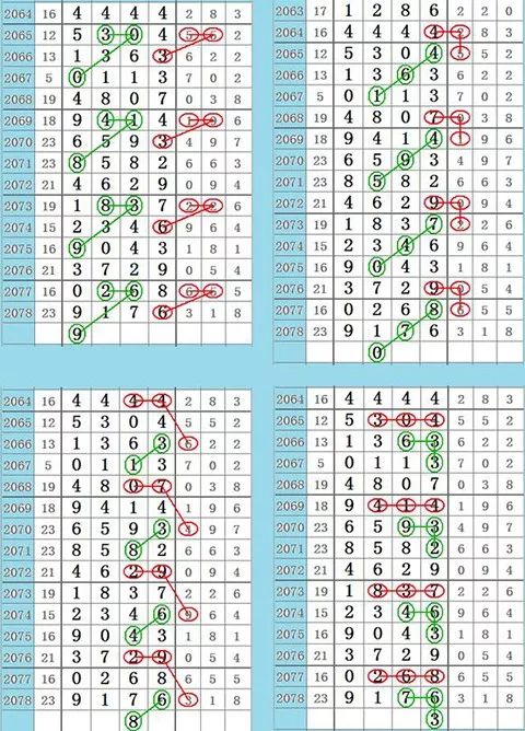 最准一肖一码一一子中特7955，精选解释解析落实之道