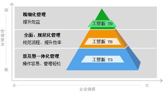 揭秘管家婆最准一肖一特，深度解析与精准落实之道