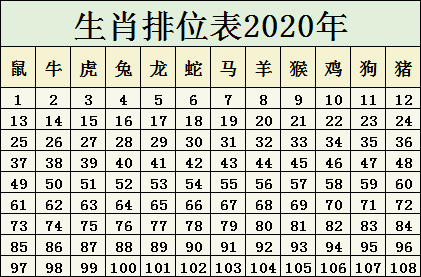 揭秘2025十二生肖与49码表，精选解析与深入解读