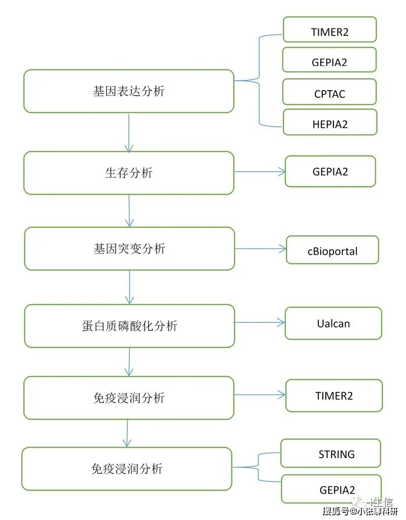 新澳门免费资料大全功能介绍与精选解析解析落实详解