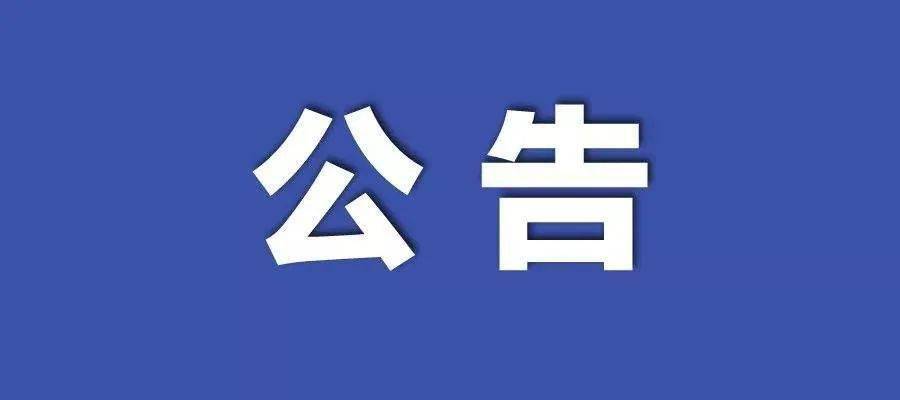 新澳门四不像凤凰版，解析与落实精选解释