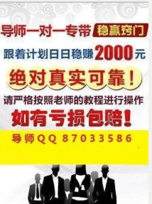 新澳门天天彩资料解析与落实，警惕背后的风险与挑战