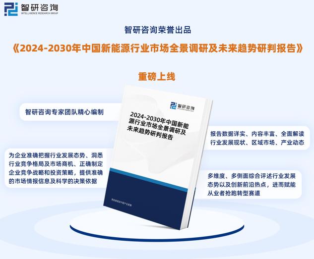 迈向未来教育，2025新奥精选免费资料深度解析与落实策略