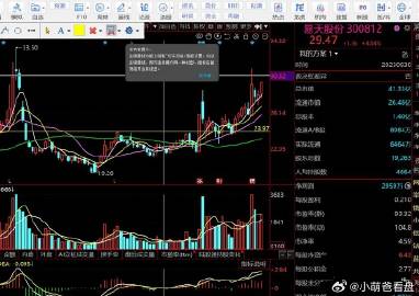 解析澳门特马开码趋势与策略，迈向2025的精选解释与落实