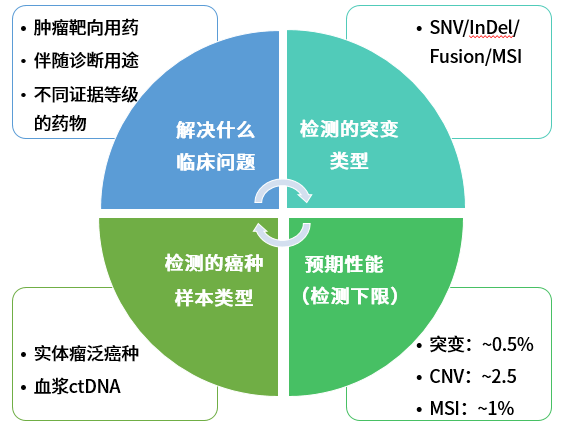 新奥集团2025年天天精准资料大全，精选解释、深度解析与全面落实