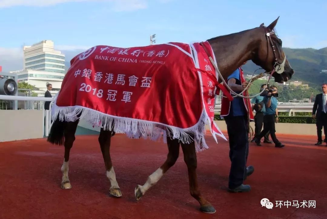 马会香港7777788888，精选解释解析落实的策略与实践