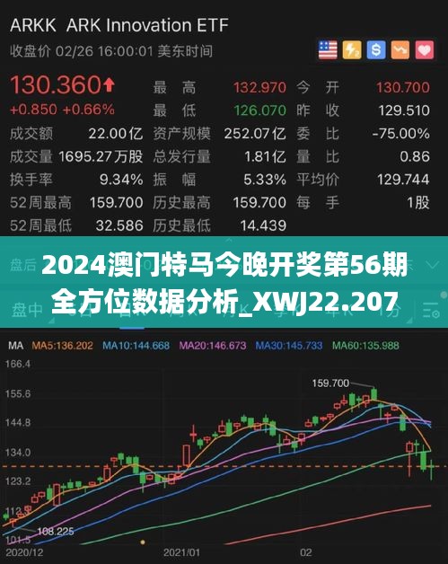 探索未来，2025新澳门今晚开特马直播的精选解析与落实策略