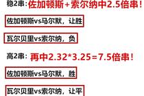 一码一肖一特一中，解析与落实精选策略到2025年